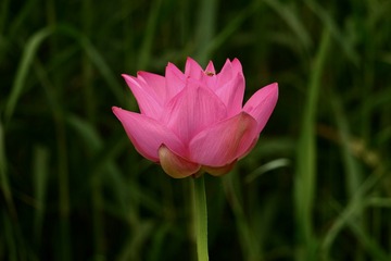 F0540387-CFBD-4CEE-BC62-816DECBC0223/L0/001
