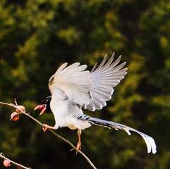 110218EE-E8BD-453D-90CD-DEBC256166A5/L0/001