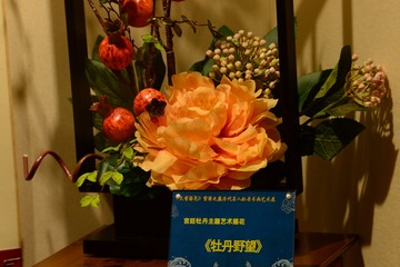 DF003F70-1364-44E7-8EDE-256A16318062/L0/001
