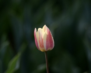 917F4218-3D4B-42ED-B513-D899663BA345/L0/001