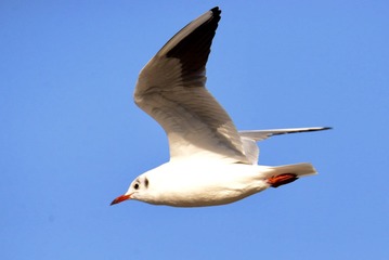 B579522F-6E02-417F-9B3A-DF34AB895914/L0/001