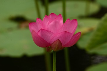 7C00B45C-6213-4276-B961-4B32CA47FF11/L0/001