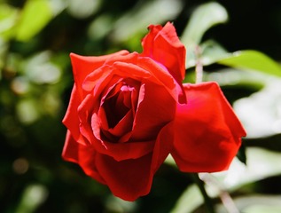 5E194049-63D6-4ED3-8EE0-63E59CA1F528/L0/001