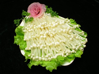 金针菇 (17)