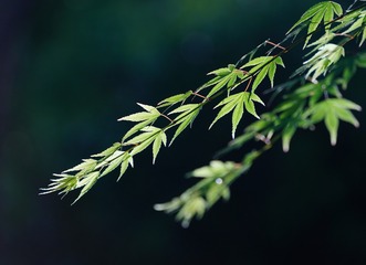 752661