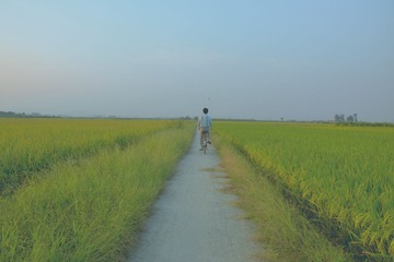 霜降新3