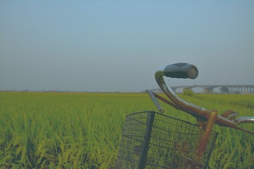 霜降新2