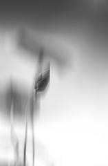 B0352EA1-AF69-4934-AE50-7FB2C4BBA772