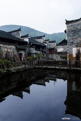 IMG_8678.jpg