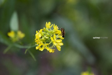 IMG_8740.jpg