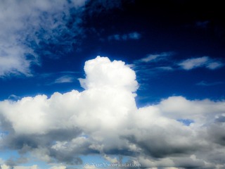 DSC01133_HZP-1.jpg