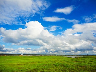 DSC01135-1.jpg