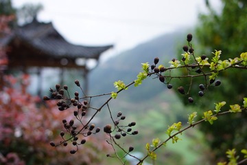 DSC00264.JPG