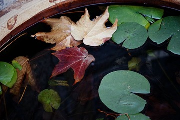 DSC00006_