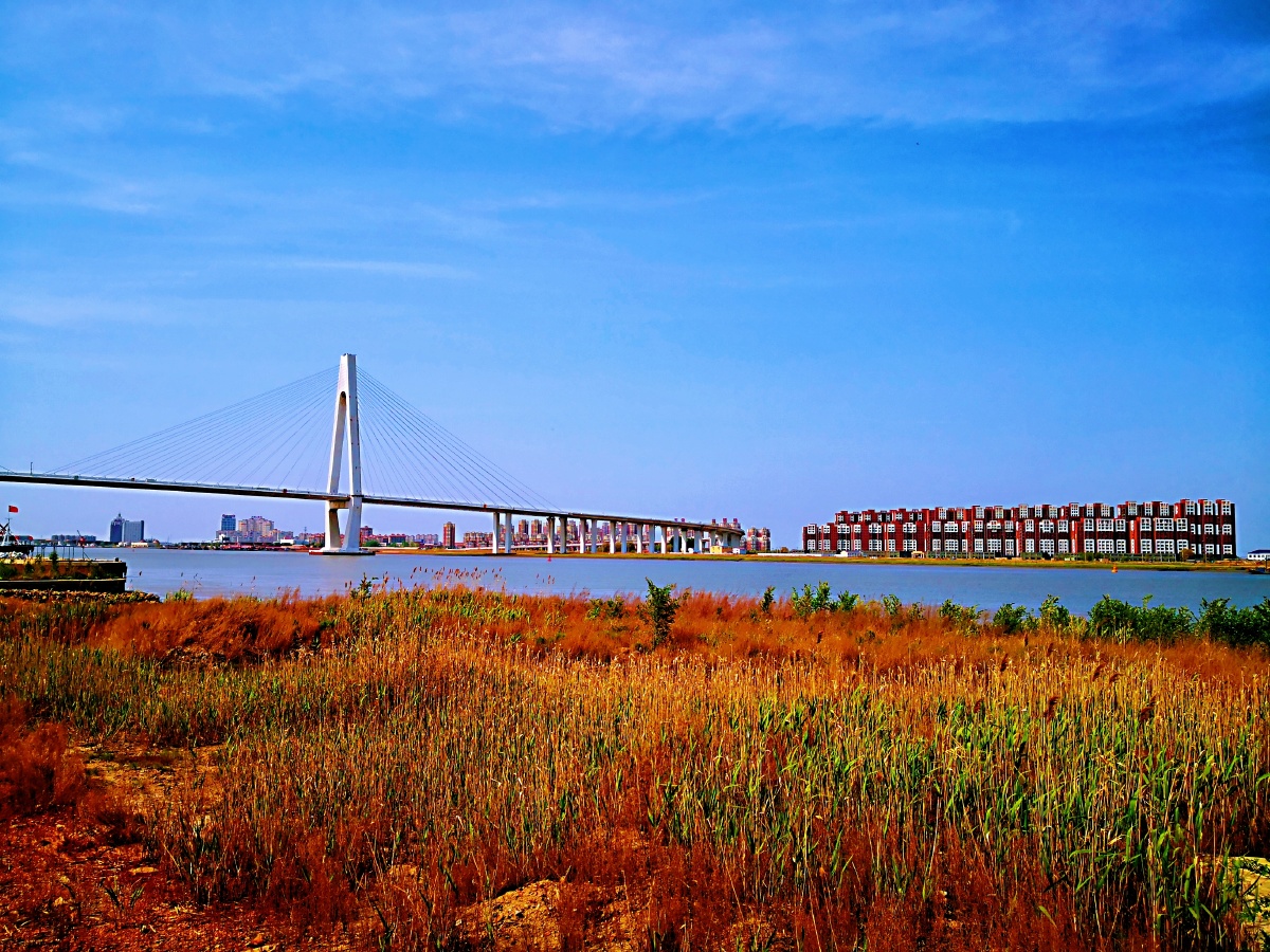 辽河大桥