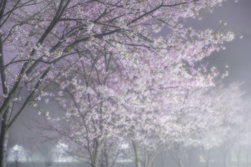 4B12A6A5-FBE0-49F3-957C-21D82ADCF011/L0/001