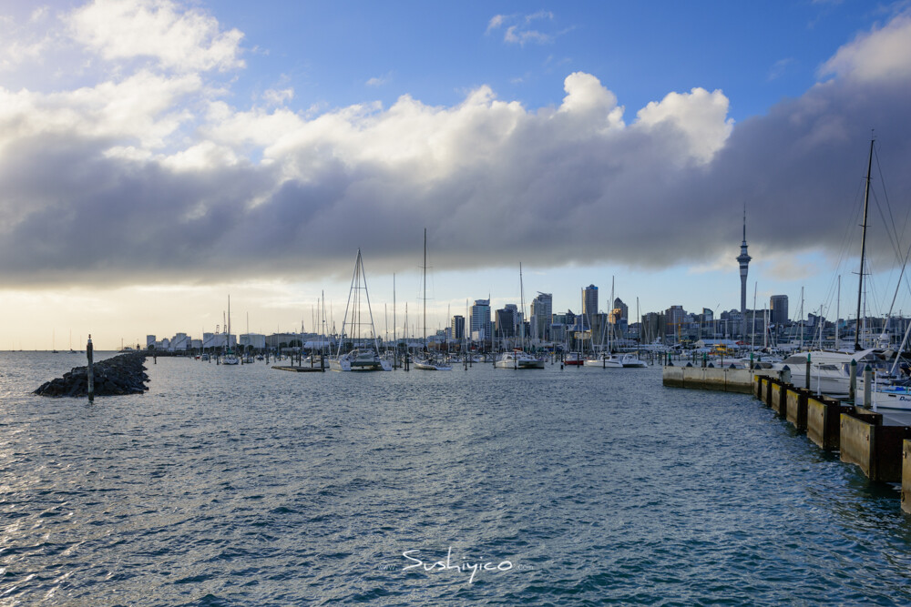 D1奥克兰Auckland 港口停满了私家游艇
