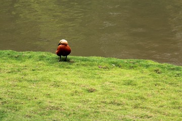 IMG_3999.JPG