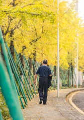 秋日闲游