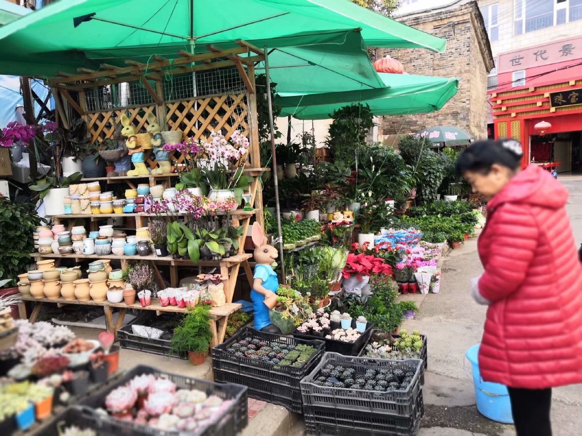 昆明花鸟市场