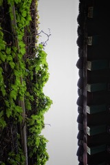 1300563