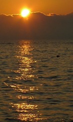 L1000954.JPG