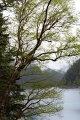 DSC_3143.JPG