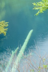 DSC_3240.JPG