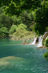 DSC_3259.JPG