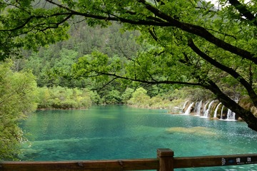 DSC_3264.JPG