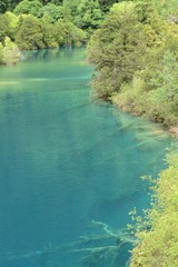 DSC_3270.JPG
