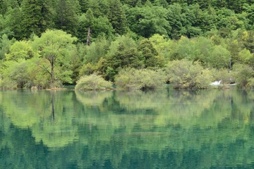 DSC_3298.JPG