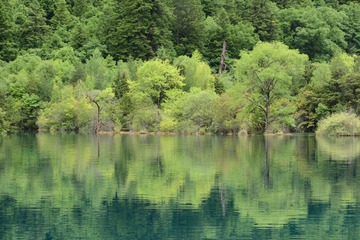 DSC_3305.JPG