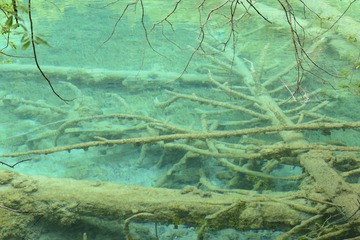 DSC_3316.JPG