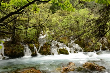 DSC_3092.JPG