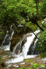 DSC_3311.JPG
