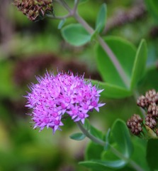 DSC_3958 (31)