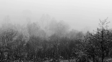 DSC_3975 (42)