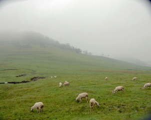 DSC_4008 (74)