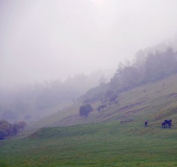 DSC_4021 (86)