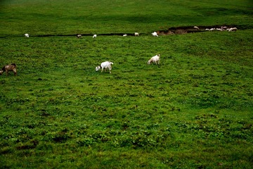DSC_4024 (89)