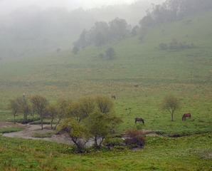 DSC_4043 (106)
