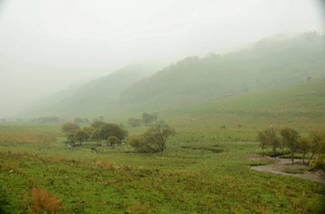 DSC_4047 (110)