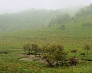 DSC_4049 (112)