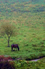 DSC_4052 (115)