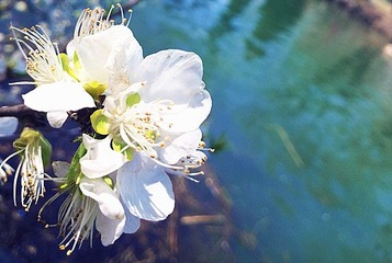 2013-04-06 12.41.18_副本.jpg