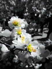 2013-04-06 12.38.34_副本.jpg