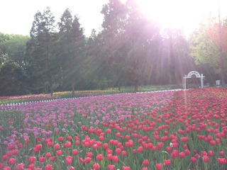 20130415_164826.jpg