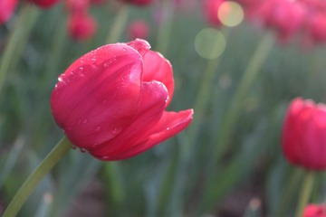 IMG_3392.JPG