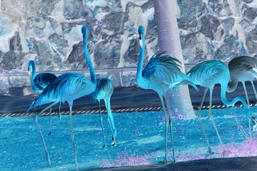 img_2233_副本.jpg
